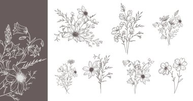 Modaya uygun kır çiçekleri ve çizgili sanat örnekleri. Botanik Çizgisi Yaban Çiçekleri Koleksiyonu. El çizimi sanat grafikleri. Lüks ince çizgi çiçek sanatı. Şık bir düğün daveti için mükemmel. 