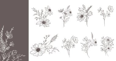 Modaya uygun kır çiçekleri ve çizgili sanat örnekleri. Botanik Çizgisi Yaban Çiçekleri Koleksiyonu. El çizimi sanat grafikleri. Lüks ince çizgi çiçek sanatı. Şık bir düğün daveti için mükemmel. 