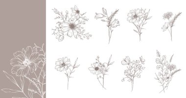 Modaya uygun kır çiçekleri ve çizgili sanat örnekleri. Botanik Çizgisi Yaban Çiçekleri Koleksiyonu. El çizimi sanat grafikleri. Lüks ince çizgi çiçek sanatı. Şık bir düğün daveti için mükemmel. 