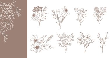 Modaya uygun kır çiçekleri ve çizgili sanat örnekleri. Botanik Çizgisi Yaban Çiçekleri Koleksiyonu. El çizimi sanat grafikleri. Lüks ince çizgi çiçek sanatı. Şık bir düğün daveti için mükemmel. 