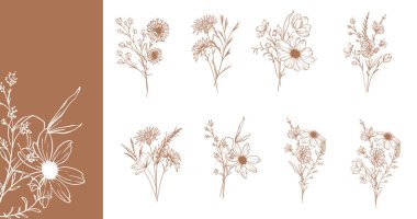 Modaya uygun kır çiçekleri ve çizgili sanat örnekleri. Botanik Çizgisi Yaban Çiçekleri Koleksiyonu. El çizimi sanat grafikleri. Lüks ince çizgi çiçek sanatı. Şık bir düğün daveti için mükemmel. 