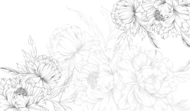 Şakayık Çizgisi Çizimi. Moda çiçekli şakayık buketler çizimi. Botanik Çizgisi Art Peony geçmişi. El çizimi, şakayık çiçekleri. Siyah beyaz şakayık