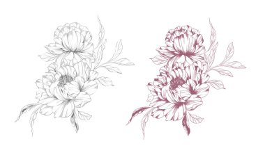 Şakayık Çizgisi Çizimi. Moda çiçekli şakayık buketler çizimi. Botanik Çizgisi Sanat Şakayık Koleksiyonu. El çizimi, şakayık çiçekleri. Siyah beyaz şakayık