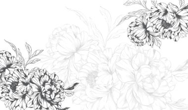 Şakayık Çizgisi Çizimi. Moda çiçekli şakayık buketler çizimi. Botanik Çizgisi Art Peony geçmişi. El çizimi, şakayık çiçekleri. Siyah beyaz şakayık