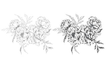 Şakayık Çizgisi Çizimi. Moda çiçekli şakayık buketler çizimi. Botanik Çizgisi Art Peony geçmişi. El çizimi, şakayık çiçekleri. Siyah beyaz şakayık