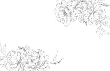 Şakayık Çizgisi Çizimi. Moda çiçekli şakayık buketler çizimi. Botanik Çizgisi Art Peony geçmişi. El çizimi, şakayık çiçekleri. Siyah beyaz şakayık