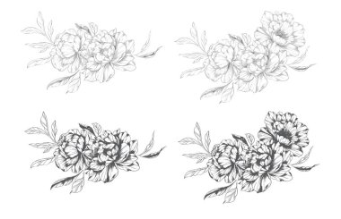 Şakayık Çizgisi Çizimi. Moda çiçekli şakayık buketler çizimi. Botanik Çizgisi Art Peony geçmişi. El çizimi, şakayık çiçekleri. Siyah beyaz şakayık