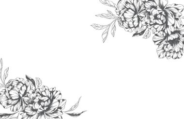 Şakayık Çizgisi Çizimi. Moda çiçekli şakayık buketler çizimi. Botanik Çizgisi Art Peony geçmişi. El çizimi, şakayık çiçekleri. Siyah beyaz şakayık