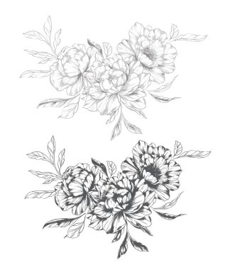 Şakayık Çizgisi Çizimi. Moda çiçekli şakayık buketler çizimi. Botanik Çizgisi Art Peony geçmişi. El çizimi, şakayık çiçekleri. Siyah beyaz şakayık