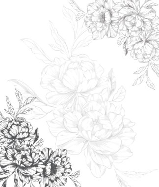 Şakayık Çizgisi Çizimi. Moda çiçekli şakayık buketler çizimi. Botanik Çizgisi Art Peony geçmişi. El çizimi, şakayık çiçekleri. Siyah beyaz şakayık