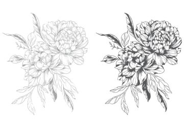 Şakayık Çizgisi Çizimi. Moda çiçekli şakayık buketler çizimi. Botanik Çizgisi Art Peony geçmişi. El çizimi, şakayık çiçekleri. Siyah beyaz şakayık