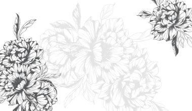Şakayık Çizgisi Çizimi. Moda çiçekli şakayık buketler çizimi. Botanik Çizgisi Art Peony geçmişi. El çizimi, şakayık çiçekleri. Siyah beyaz şakayık