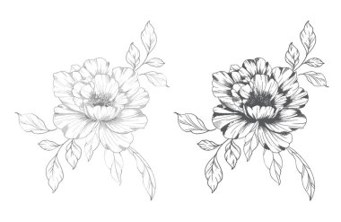 Şakayık Çizgisi Çizimi. Moda çiçekli şakayık buketler çizimi. Botanik Çizgisi Art Peony geçmişi. El çizimi, şakayık çiçekleri. Siyah beyaz şakayık