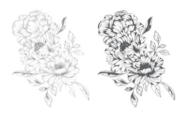 Şakayık Çizgisi Çizimi. Moda çiçekli şakayık buketler çizimi. Botanik Çizgisi Art Peony geçmişi. El çizimi, şakayık çiçekleri. Siyah beyaz şakayık