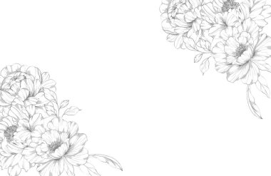 Şakayık Çizgisi Çizimi. Moda çiçekli şakayık buketler çizimi. Botanik Çizgisi Art Peony geçmişi. El çizimi, şakayık çiçekleri. Siyah beyaz şakayık