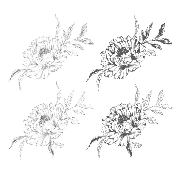 Şakayık Çizgisi Çizimi. Moda çiçekli şakayık buketler çizimi. Botanik Çizgisi Sanat Şakayık Koleksiyonu. El çizimi, şakayık çiçekleri. Siyah beyaz şakayık