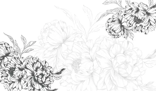 Şakayık Çizgisi Çizimi. Moda çiçekli şakayık buketler çizimi. Botanik Çizgisi Art Peony geçmişi. El çizimi, şakayık çiçekleri. Siyah beyaz şakayık