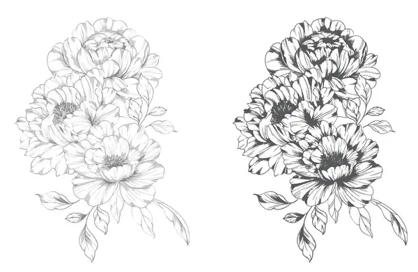 Şakayık Çizgisi Çizimi. Moda çiçekli şakayık buketler çizimi. Botanik Çizgisi Art Peony geçmişi. El çizimi, şakayık çiçekleri. Siyah beyaz şakayık