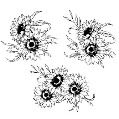 Ayçiçeği çizimi. Sunflower illüstrasyonunu özetle. El yapımı ayçiçeği silueti. Tek Renkli Çiçek Hattı Sanatı. Mürekkep Ayçiçekleri Paketleme için çizim, etiketler. 