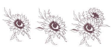 Ayçiçeği çizimi. Sunflower illüstrasyonunu özetle. El yapımı ayçiçeği silueti. Tek Renkli Çiçek Hattı Sanatı. Mürekkep Ayçiçekleri Paketleme için çizim, etiketler. 