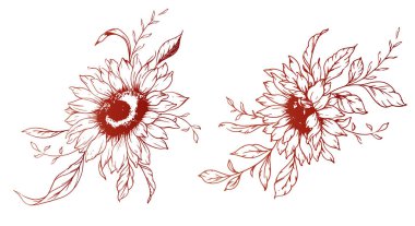 Ayçiçeği çizimi. Sunflower illüstrasyonunu özetle. El yapımı ayçiçeği silueti. Tek Renkli Çiçek Hattı Sanatı. Mürekkep Ayçiçekleri Paketleme için çizim, etiketler. 