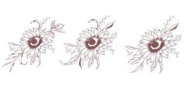Ayçiçeği çizimi. Sunflower illüstrasyonunu özetle. El yapımı ayçiçeği silueti. Tek Renkli Çiçek Hattı Sanatı. Mürekkep Ayçiçekleri Paketleme için çizim, etiketler. 
