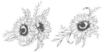 Ayçiçeği çizimi. Sunflower illüstrasyonunu özetle. El yapımı ayçiçeği silueti. Tek Renkli Çiçek Hattı Sanatı. Mürekkep Ayçiçekleri Paketleme için çizim, etiketler. 