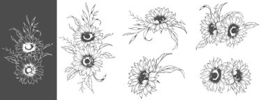 Ayçiçeği çizimi. Sunflower illüstrasyonunu özetle. El yapımı ayçiçeği silueti. Tek Renkli Çiçek Hattı Sanatı. Mürekkep Ayçiçekleri Paketleme için çizim, etiketler. 