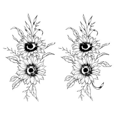 Ayçiçeği çizimi. Sunflower illüstrasyonunu özetle. El yapımı ayçiçeği silueti. Tek Renkli Çiçek Hattı Sanatı. Mürekkep Ayçiçekleri Paketleme için çizim, etiketler. 