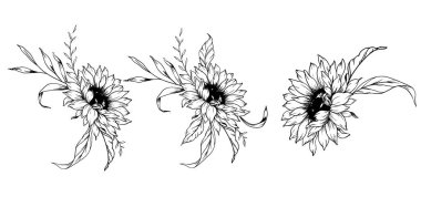 Ayçiçeği çizimi. Sunflower illüstrasyonunu özetle. El yapımı ayçiçeği silueti. Tek Renkli Çiçek Hattı Sanatı. Mürekkep Ayçiçekleri Paketleme için çizim, etiketler. 