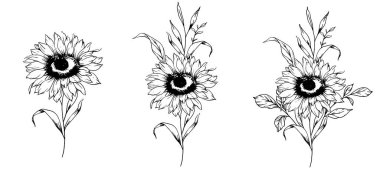 Ayçiçeği çizimi. Sunflower illüstrasyonunu özetle. El yapımı ayçiçeği silueti. Tek Renkli Çiçek Hattı Sanatı. Mürekkep Ayçiçekleri Paketleme için çizim, etiketler. 