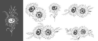 Ayçiçeği çizimi. Sunflower illüstrasyonunu özetle. El yapımı ayçiçeği silueti. Tek Renkli Çiçek Hattı Sanatı. Mürekkep Ayçiçekleri Paketleme için çizim, etiketler. 