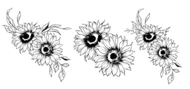 Ayçiçeği çizimi. Sunflower illüstrasyonunu özetle. El yapımı ayçiçeği silueti. Tek Renkli Çiçek Hattı Sanatı. Mürekkep Ayçiçekleri Paketleme için çizim, etiketler. 