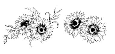 Ayçiçeği çizimi. Sunflower illüstrasyonunu özetle. El yapımı ayçiçeği silueti. Tek Renkli Çiçek Hattı Sanatı. Mürekkep Ayçiçekleri Paketleme için çizim, etiketler. 