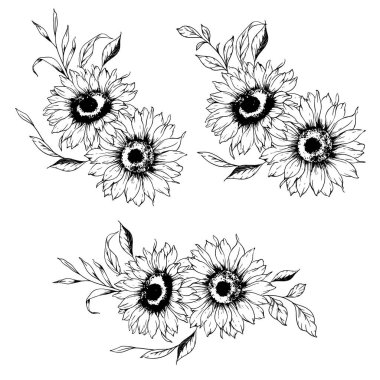 Ayçiçeği çizimi. Sunflower illüstrasyonunu özetle. El yapımı ayçiçeği silueti. Tek Renkli Çiçek Hattı Sanatı. Mürekkep Ayçiçekleri Paketleme için çizim, etiketler. 