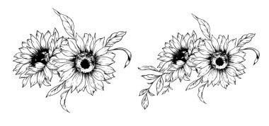 Ayçiçeği çizimi. Sunflower illüstrasyonunu özetle. El yapımı ayçiçeği silueti. Tek Renkli Çiçek Hattı Sanatı. Mürekkep Ayçiçekleri Paketleme için çizim, etiketler. 