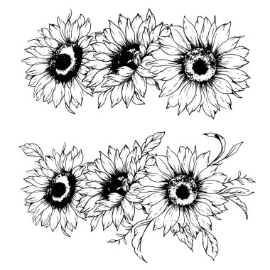 Ayçiçeği çizimi. Sunflower illüstrasyonunu özetle. El yapımı ayçiçeği silueti. Tek Renkli Çiçek Hattı Sanatı. Mürekkep Ayçiçekleri Paketleme için çizim, etiketler. 