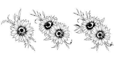 Ayçiçeği çizimi. Sunflower illüstrasyonunu özetle. El yapımı ayçiçeği silueti. Tek Renkli Çiçek Hattı Sanatı. Mürekkep Ayçiçekleri Paketleme için çizim, etiketler. 