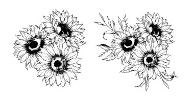 Ayçiçeği çizimi. Sunflower illüstrasyonunu özetle. El yapımı ayçiçeği silueti. Tek Renkli Çiçek Hattı Sanatı. Mürekkep Ayçiçekleri Paketleme için çizim, etiketler. 