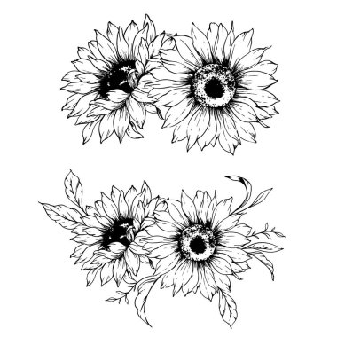 Ayçiçeği çizimi. Sunflower illüstrasyonunu özetle. El yapımı ayçiçeği silueti. Tek Renkli Çiçek Hattı Sanatı. Mürekkep Ayçiçekleri Paketleme için çizim, etiketler. 