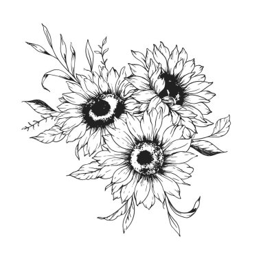Ayçiçeği çizimi. Sunflower illüstrasyonunu özetle. El yapımı ayçiçeği silueti. Tek Renkli Çiçek Hattı Sanatı. Mürekkep Ayçiçekleri Paketleme için çizim, etiketler. 