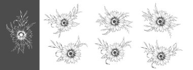 Ayçiçeği çizimi. Sunflower illüstrasyonunu özetle. El yapımı ayçiçeği silueti. Tek Renkli Çiçek Hattı Sanatı. Mürekkep Ayçiçekleri Paketleme için çizim, etiketler. 