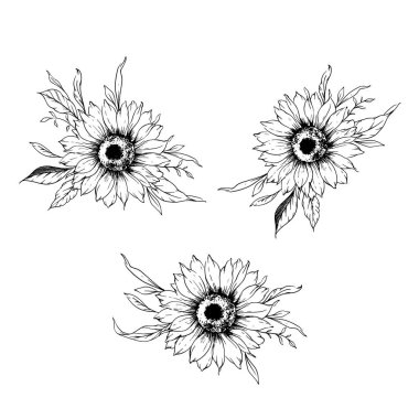 Ayçiçeği çizimi. Sunflower illüstrasyonunu özetle. El yapımı ayçiçeği silueti. Tek Renkli Çiçek Hattı Sanatı. Mürekkep Ayçiçekleri Paketleme için çizim, etiketler. 