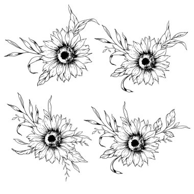 Ayçiçeği çizimi. Sunflower illüstrasyonunu özetle. El yapımı ayçiçeği silueti. Tek Renkli Çiçek Hattı Sanatı. Mürekkep Ayçiçekleri Paketleme için çizim, etiketler. 