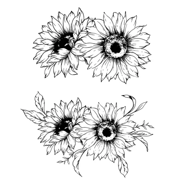 Ayçiçeği çizimi. Sunflower illüstrasyonunu özetle. El yapımı ayçiçeği silueti. Tek Renkli Çiçek Hattı Sanatı. Mürekkep Ayçiçekleri Paketleme için çizim, etiketler. 
