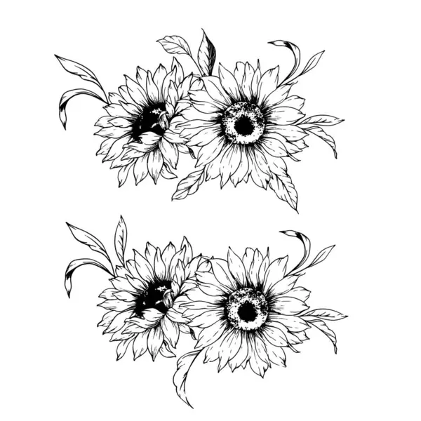 Ayçiçeği çizimi. Sunflower illüstrasyonunu özetle. El yapımı ayçiçeği silueti. Tek Renkli Çiçek Hattı Sanatı. Mürekkep Ayçiçekleri Paketleme için çizim, etiketler. 