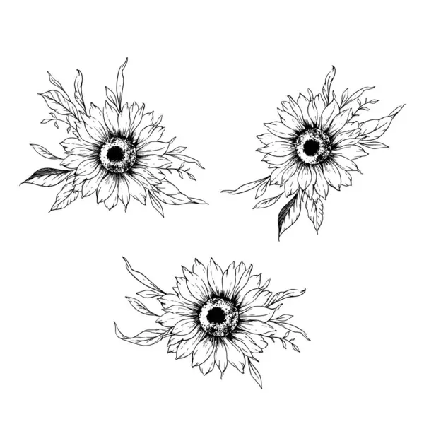 Ayçiçeği çizimi. Sunflower illüstrasyonunu özetle. El yapımı ayçiçeği silueti. Tek Renkli Çiçek Hattı Sanatı. Mürekkep Ayçiçekleri Paketleme için çizim, etiketler. 