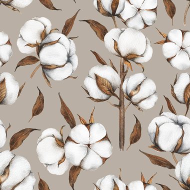 Pamuk Çiçekleri Kusursuz Arkaplan. Modaya uygun minimalist pamuk topları olan botanik arka plan. Çiçekli Suluboya Çizimi. El boyası suluboya pamuk dallar.