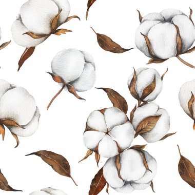 Pamuk Çiçekleri Kusursuz Arkaplan. Modaya uygun minimalist pamuk topları olan botanik arka plan. Çiçekli Suluboya Çizimi. El boyası suluboya pamuk dallar.