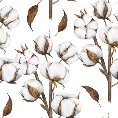 Pamuk Çiçekleri Kusursuz Arkaplan. Modaya uygun minimalist pamuk topları olan botanik arka plan. Çiçekli Suluboya Çizimi. El boyası suluboya pamuk dallar.